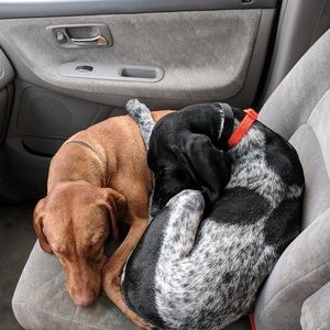 Meet your Posher, Emma